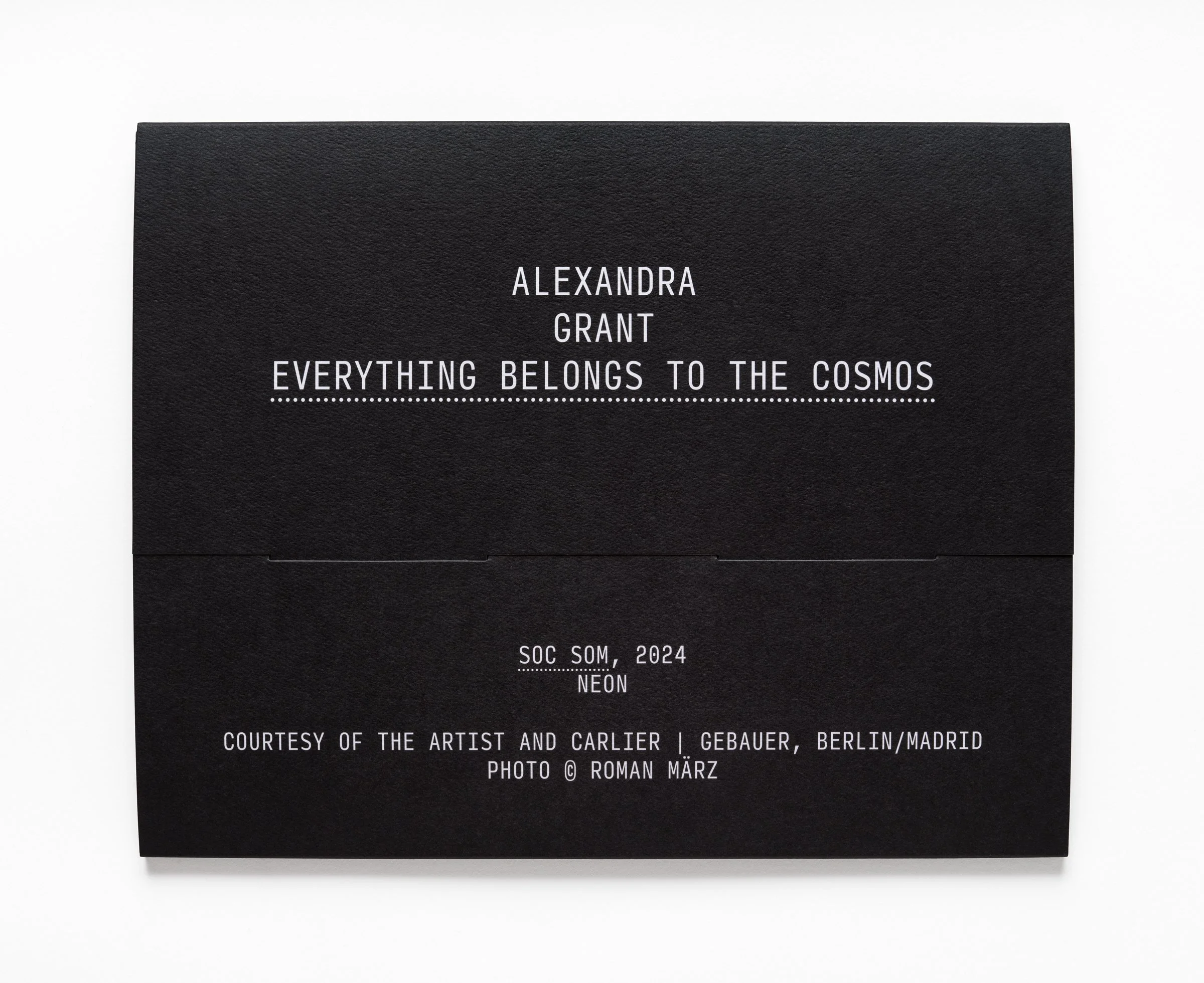 Everything Belongs to the Cosmos — X Artists' Books